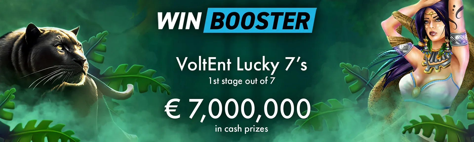 VoltEnt
