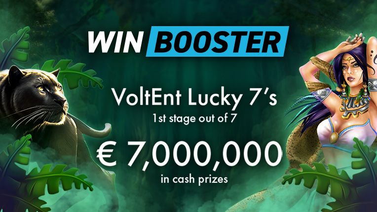 VoltEnt